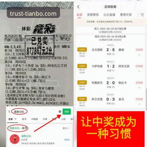 天博体育平台新手教程与实战体验：从入门到精通的全面对比分析